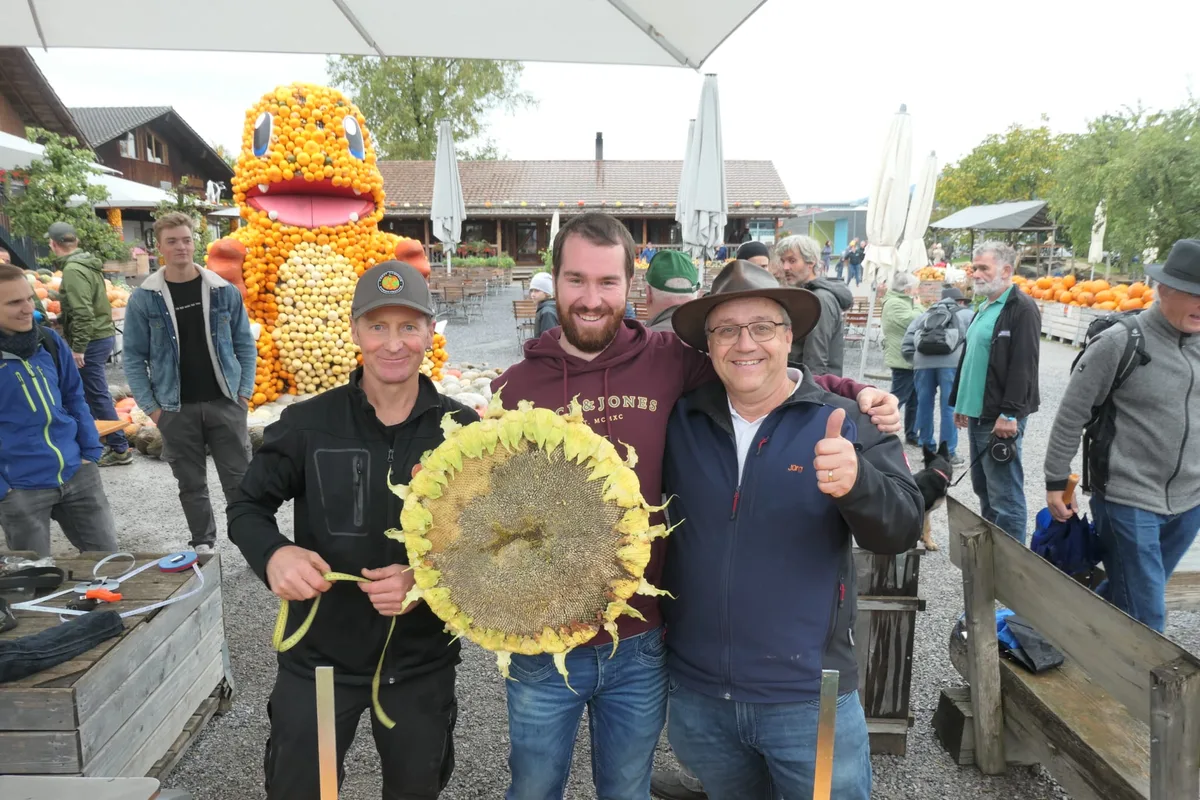 Riesengemüsezüchter Florian Isler aus Esslingen mit zwei befreundeten Züchtern und seinem seinem Riesen-Sonnenblumenkopf.  Er ist 73,3 Zentimeter gross, was Europarekord bedeutet.